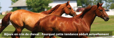Bijoux en crin de cheval : Pourquoi cette tendance séduit actuellement 
