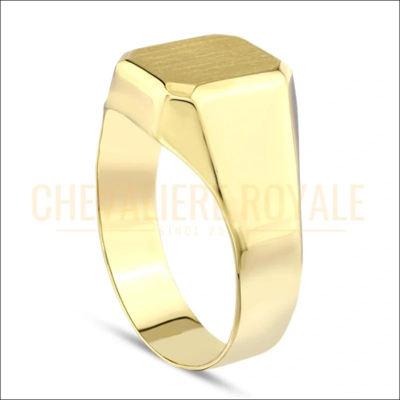 Chevaliere-Or-Jaune-14-Carats-pour-Hommes_121