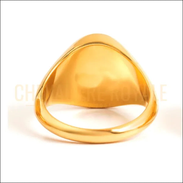 Chevalière en Oeil de Tigre et Or Massif - Force et Élégance au Poignet-Chevaliere Royale -254