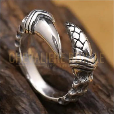 Chevalière pour femme et homme en argent à pattes de dragon