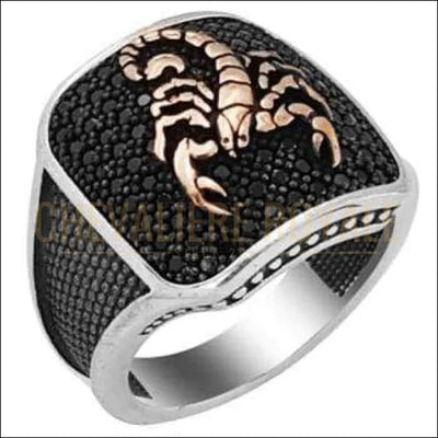 Chevalière homme argent esthétique moderne splendide - Chevalière Royale 
