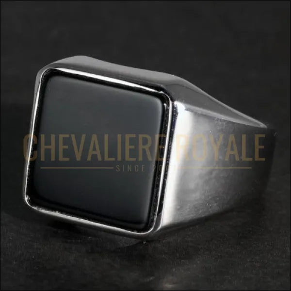 Chevalier royale homme argent noire rayonne de force et de puissance