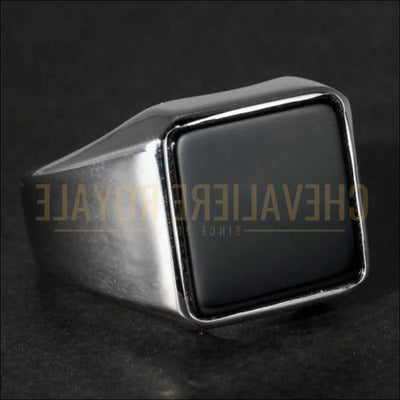 Chevalier royale homme argent noire rayonne de force et de puissance