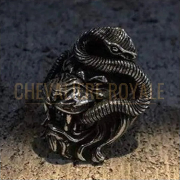 Chevalière royale homme gothique tête de lion et serpent force mystique pas cher