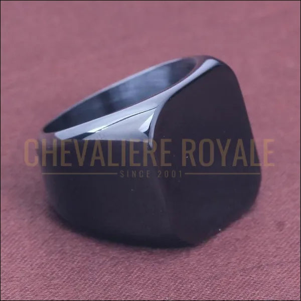 Chevalières royale pour hommes en acier titanium brillante personnalisable