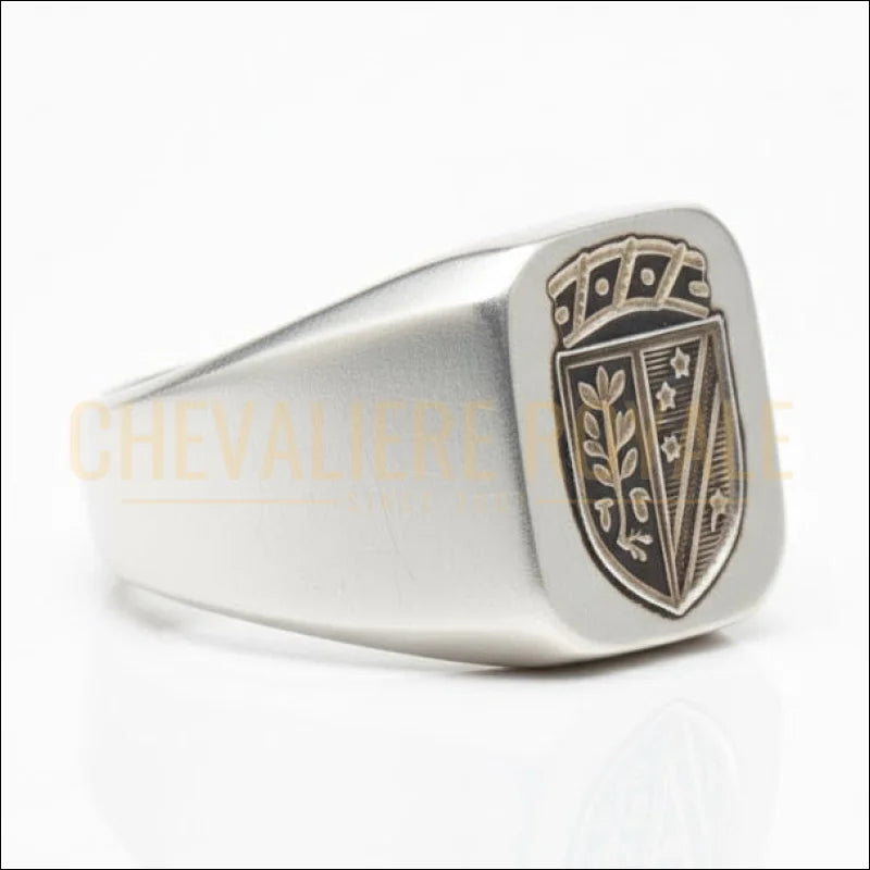 Bague-Heraldique-argent-massif-gravure-personnalise-blason-ecusso-Bague-de-famille-armoirie-chevaliere-royale