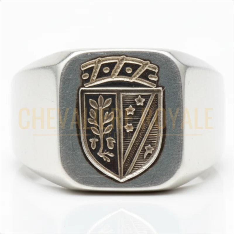 Bague-Heraldique-argent-massif-gravure-personnalisee-blason-ecusso-_Bague-de-famille-armoirie-chevaliere-royale