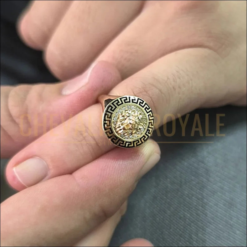 bague-ovale-chevaliere-or-pour-hommes-tete-de-lion-chevaliere-royale-46