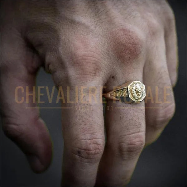 Bague Chevalière homme tête de lion fabriquée à la main en or 14K-18K