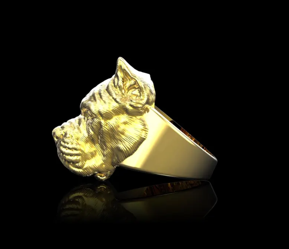 dog-argentine-bage-tete-de-chine-chevaliere-royale