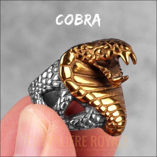 Chevalière pour homme en acier conception serpent cobra couleur or