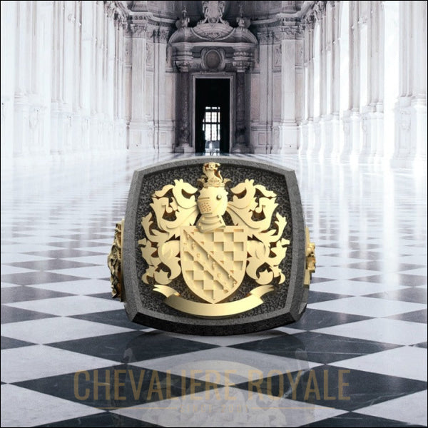 Éclat envoûtant : Chevalières d'armoiries personnalisées pour hommes-Chevaliere Royale - 546